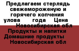 Предлагаем стерлядь свежемороженую и горячего копчения, улова 2017 года. › Цена ­ 850 - Новосибирская обл. Продукты и напитки » Домашние продукты   . Новосибирская обл.